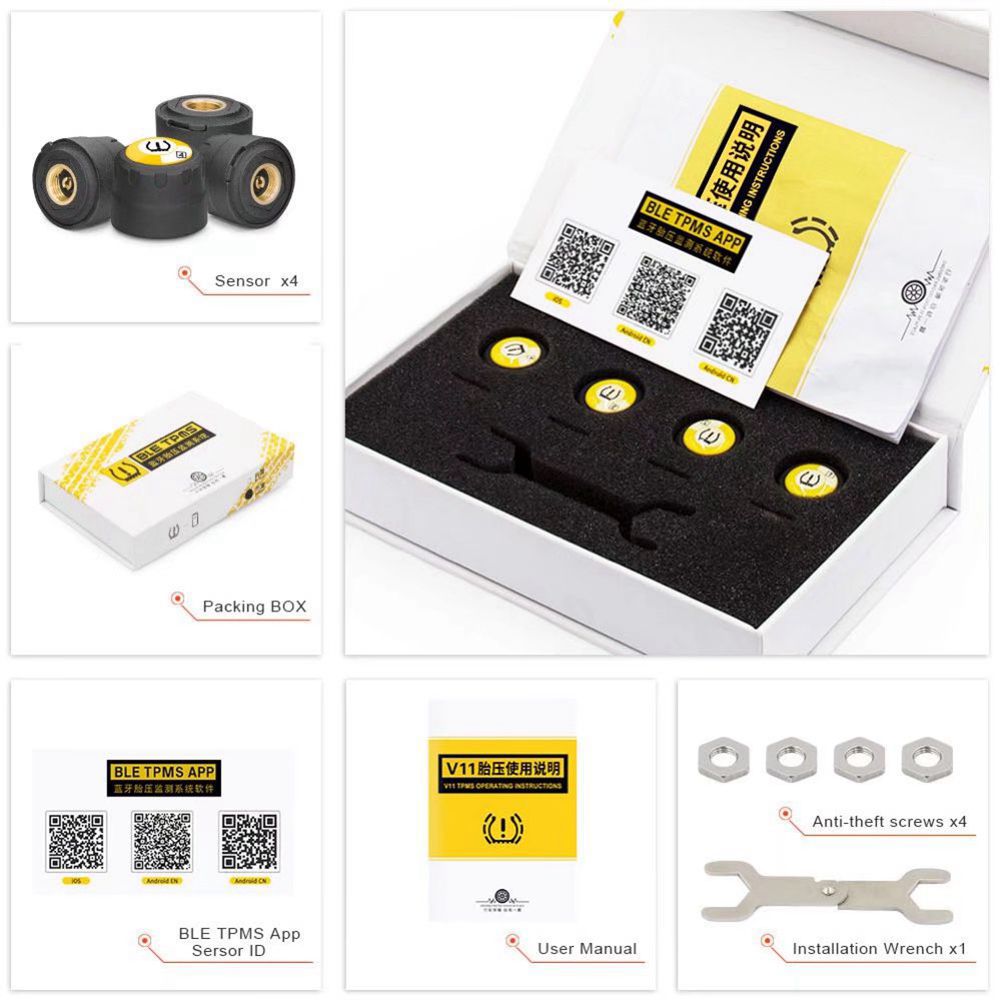 Tire Pressure Monitor System